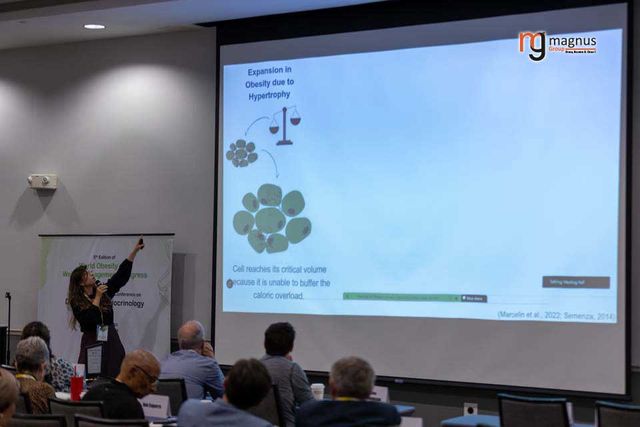 Diabetes Conferences